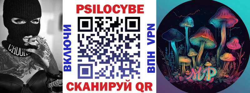 Купить закладки  Белая Холуница  Псилоцибиновые грибы Psilocybine cubensis 